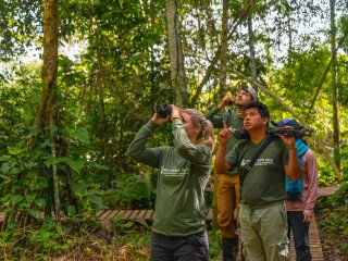 Chuncho Macaw Clay Lick Full Day: Experiencing Nature’s Greatest Avian Spectacle