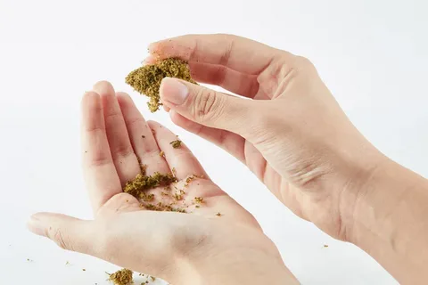 Understanding Weed Shake: What It Is and How to Use It
